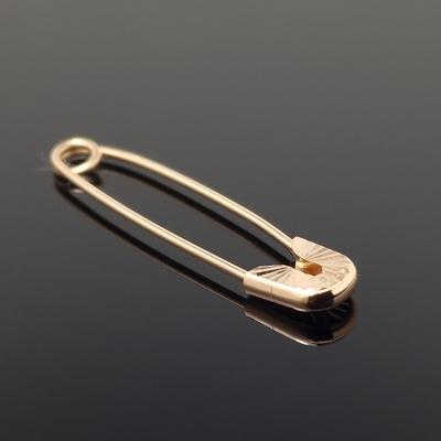 Auksinė sagė žiogelis